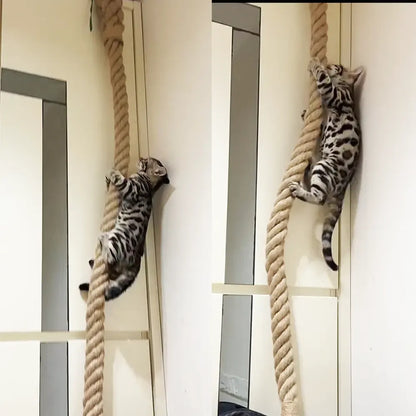Wall-Mounted 4-6ft Sisal Cat Climbing Rope, Space Saving Wall Cat Scratching Post